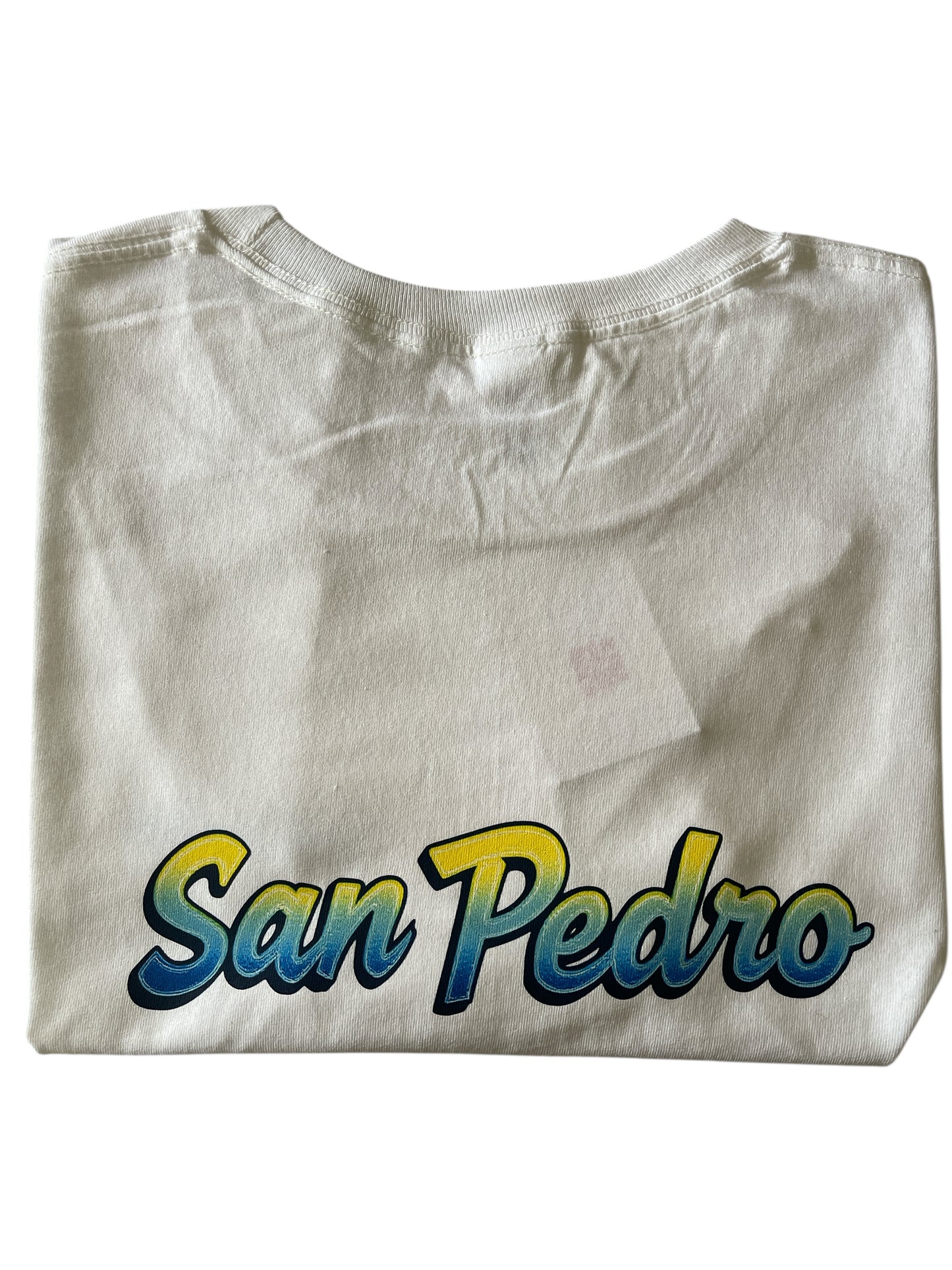 San Pedro 101