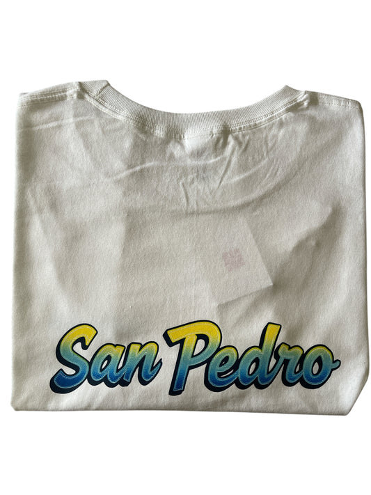 San Pedro 101